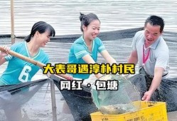 抓鱼大表哥被爆料视频,揭秘网络红人的真实生活