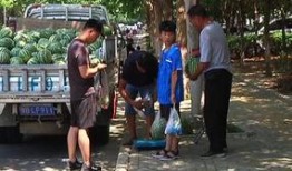 泗阳网红街吃瓜群众视频,吃瓜群众视角下的烟火人间