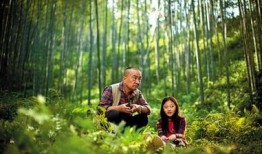 上海夜莺在线观看,在线领略夜莺之美