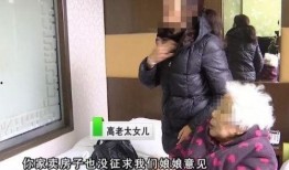 徐老太儿媳爆料视频大全,揭开家庭纷争背后的真相