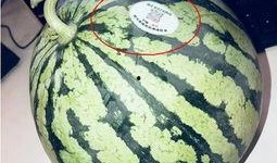 广西南宁网红吃瓜,瓜果飘香，甜蜜诱惑